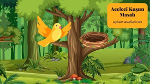 Aceleci Kuşun Masalı
