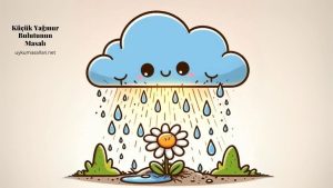 Küçük Yağmur Bulutunun Masalı